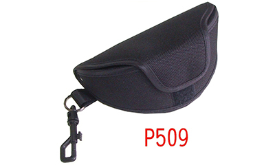 P509